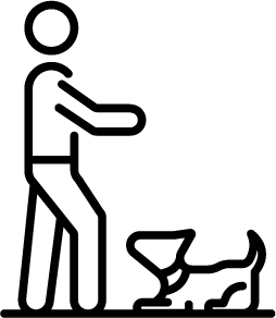 Dog Training Tricks